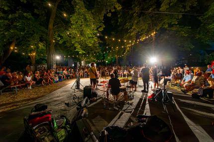 Nächtlicher Auftritt einer Liveband vor vielen Zuhörern in einem beleuchteten Park