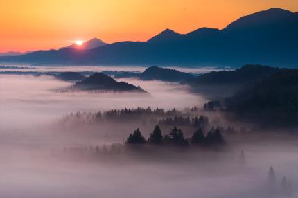 Bulliabenteuer Deutschland