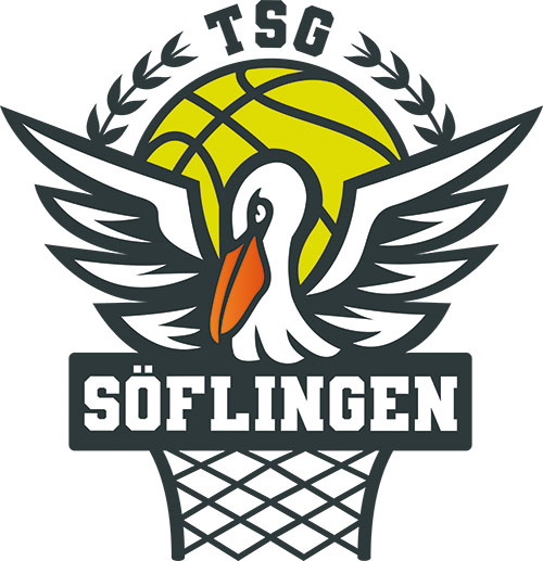 Logo TSG Basketball