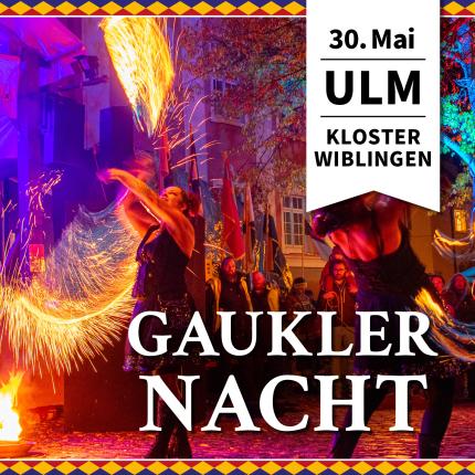 Gaukler Feuershow