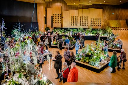 Besucherinnen und Besucher in der Orchideenausstellung