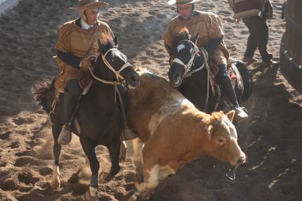 Gauchos, Argentinien