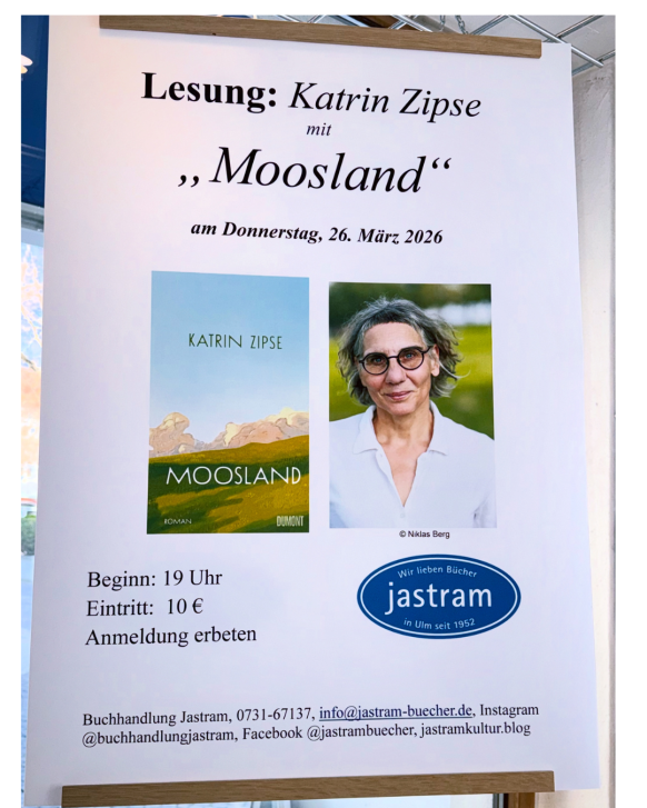 Plakat Lesung Zipse