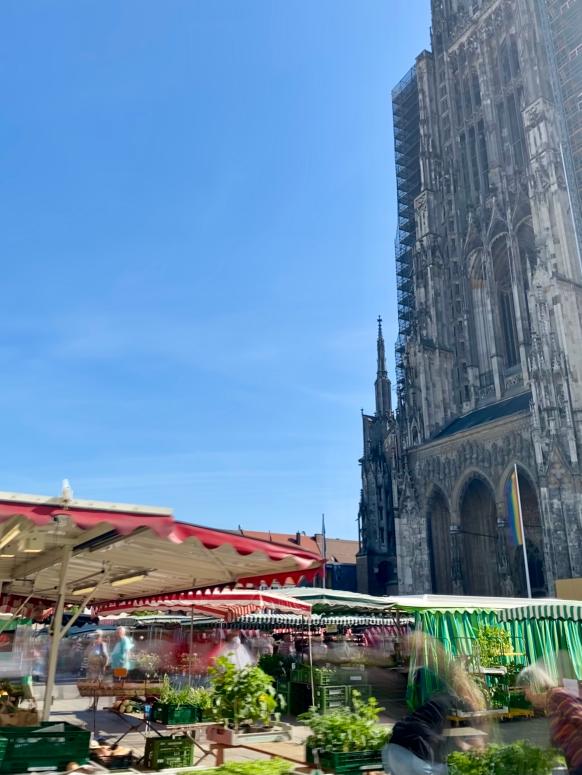 Markt am Münsterplatz