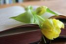 Aufgeschlagenes Buch, in der Mitte liegt eine gelbe Blume
