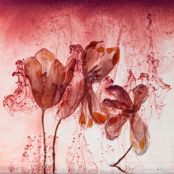 Fairies IV 2, 2020 © Kathrin Linkersdorff / VG Bild-Kunst, Bonn 2025