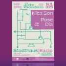 Poster für Nika Son & Pose Dia 16.11.2025 im Stadthaus Ulm - Artwork by Marin Dziallas/ghostwork.de