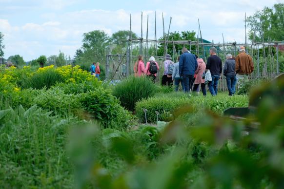 Menschengruppe, die durch eine Gartenanlage spaziert