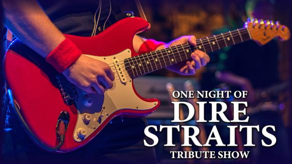 One Night Of Dire Straits