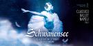 Picture of the event Ballett "SCHWANENSEE"