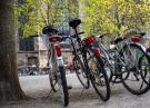 Auf dem Bild sind drei Fahrräder auf dem südlichen Münsterplatz zu sehen, die zum Verkauf angeboten werden.
