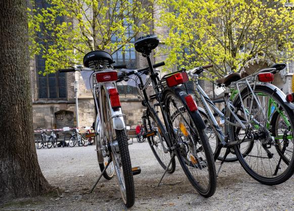 Auf dem Bild sind drei Fahrräder auf dem südlichen Münsterplatz zu sehen, die zum Verkauf angeboten werden.