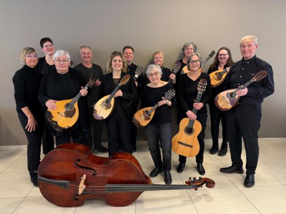 Das Ulmer Zupforchester stellt sich vor