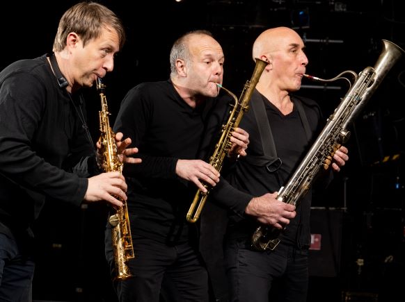 Trio Lézard