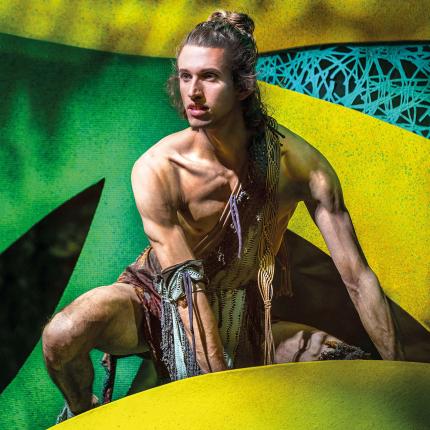 Tarzan - das Musical