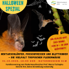 Halloween Spezial