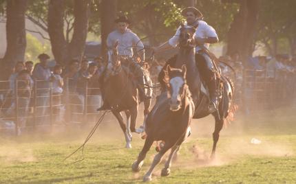 Gauchos, Argentinien