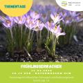 Fr&uuml;hlingsblumen