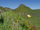 Landschaftsbild