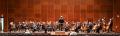 der Orchesterverein Ulm/Neu-Ulm