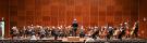 der Orchesterverein Ulm/Neu-Ulm