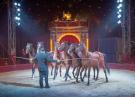 Der Ulmer Weihnachtscircus bei einem Auftritt