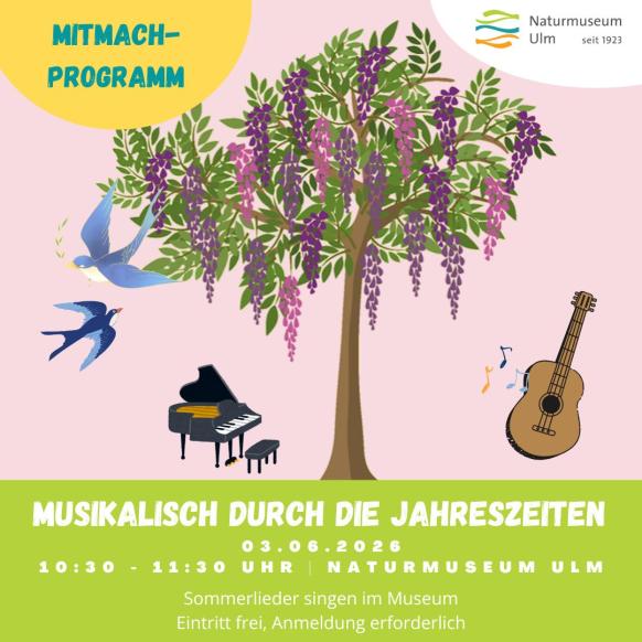 Musizieren im Sommer