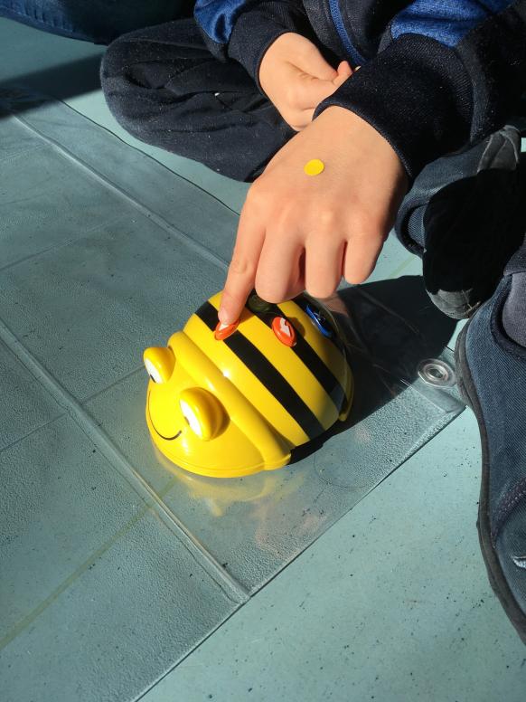 BeeBot Roboter