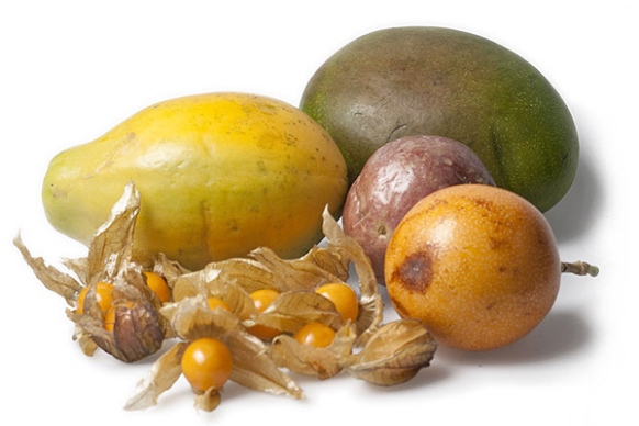 Tropische Fr&uuml;chte