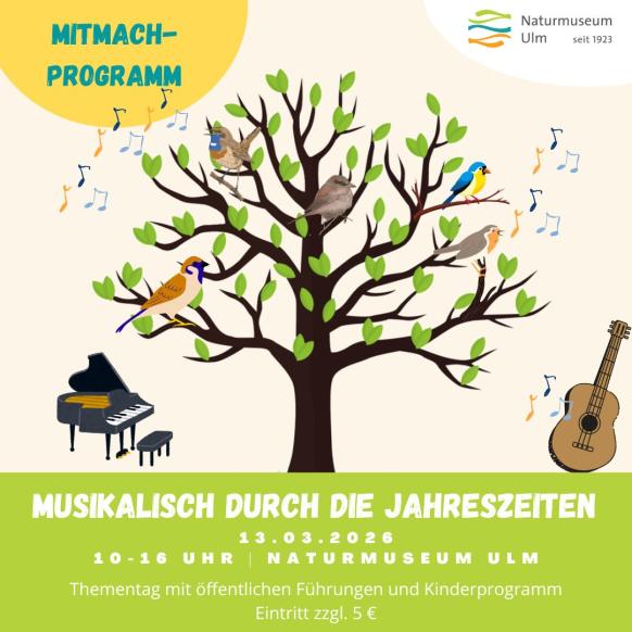 V&ouml;gel, Baum, Klavier, Gitarre