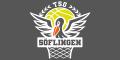 Basketball 2. Regionalliga Baden-Württemberg