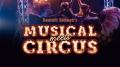 Logo MUSICAL MEETS CIRCUS und Luftakrobatik