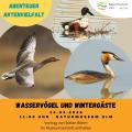 Wasserv&ouml;gel