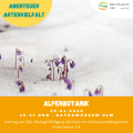 Bild der Veranstaltung Alpenbotanik