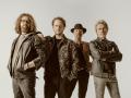 Blue Deal Band