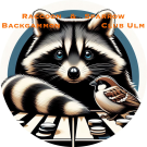 Spatz, Waschbären, Backgammonboard